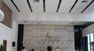Lavande Hotel Xian Gaoxin Branch - 2