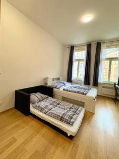 Studio apartment in Viktoria Zizkov - 9