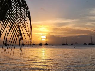 Studio Bord de mer Ti Manman Dlo - Domaine de Belfond - Sainte Anne - 0