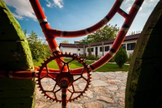 Kosta Bungalows - Balgarevo - 6
