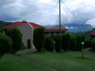 New Dakshinkali Village Resort - 4