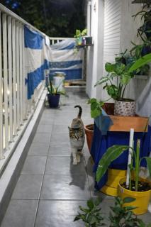 Departamento equipado tranquilo en zona sur - 9