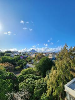 Hibiscus apartment near flic en flac beach - 3