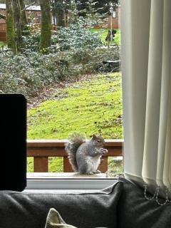 Cabin in the Woods - 8