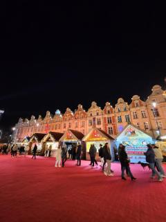 Appartement au rez-de-chaussée Nichée en plein centre d'Arras - Arras - 9