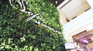 Thang Loi Tam Dao Hotel - 4