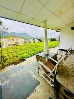 Silver Meir Villa - 7