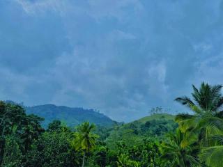 Clarity House Ella - 8