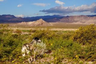 Casa Munay para dos personas - 4