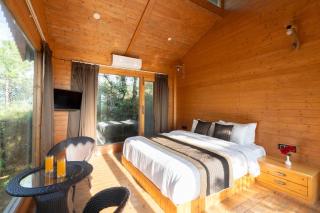 Himtrek Stays X Nirvana Dhar, Rajgarh - 2