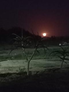 The Orchard Addo - 3