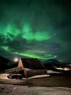 Big cabin in Lyngen Fjords - 8