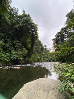Batu Katak Jungle River & Trekking - 7