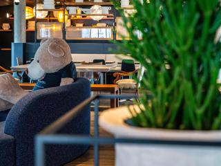 Novotel Suites Reims Centre - 5