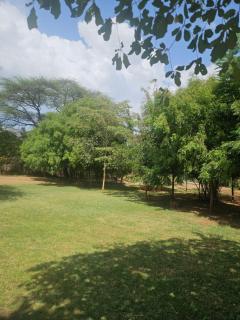 Bushbaby camping lake baringo - 1