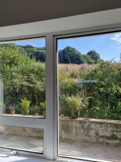 Castle View Cottage stunning views and private woodland - 3