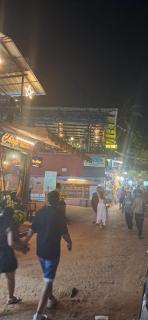 EVA AYURVEDIC beach hotel - 1