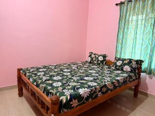 Dream house homestay - 1