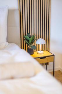 Modernes 100 qm Apartment mit 2 Schlafzimmern - 4