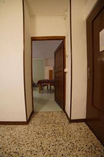 Stones and Pines - 5