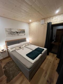 Saalach Chalet - 4