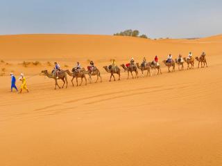 Golden Sahara Luxury Camp - 4