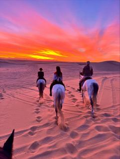 Aladdin merzouga camp - Merzouga - 4