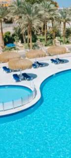 Apartment for daily rent free beach access - 2