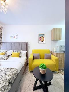 A spacious, stylish, studio near Nairobi, CBD - 4