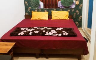 Hotel Nigam Palace luxury Rooms - 9