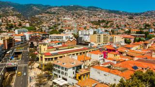 FLH Viola Market Flats - 2