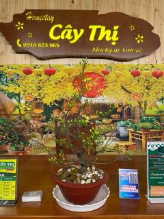 Thuê Nguyên Căn Homesstay Cây Thị - Tây Ninh - 8