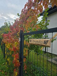 W Olchach - lokal Brzózka - 8