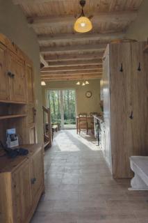 W Olchach - lokal Brzózka - 3