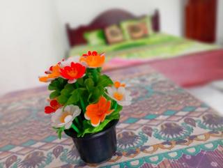 Maheeda Guest House - Weligama - 5