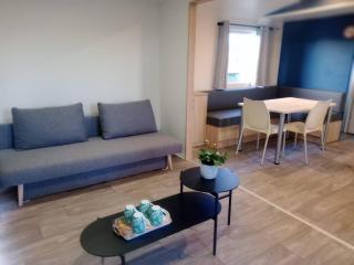 Mobil-home spacieux, grande terrasse ,piscine en été - 1