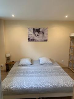 La tanière du loup - 7