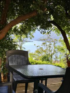 Blue Shell Apartments - 9