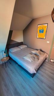 Vakantiewoning Vélodroom Vlaamse Ardennen - 6