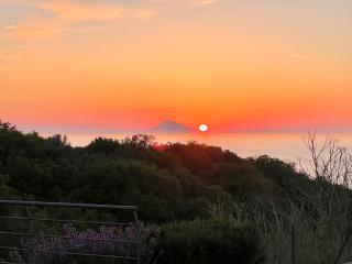 GREEN APARTMENT in VILLA ANGISI - 5