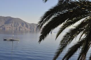 Palm Tree Studio Symi - Sými - 7