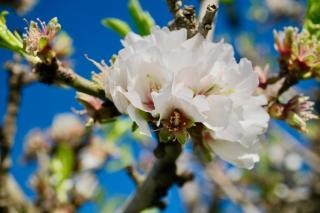 Ushuaia-Plaza Mayor - 0