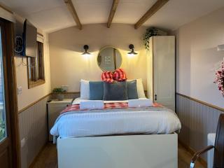 Hafod Shepherd Hut - 9