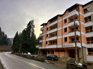 Montana Inn Slănic Moldova - 7