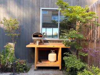 Peaceful Queenstown Hill Home, Forest, views - 1