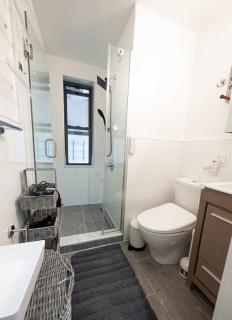 2BR APT near Mount Sinai & Metropolitan Hospitals - 4