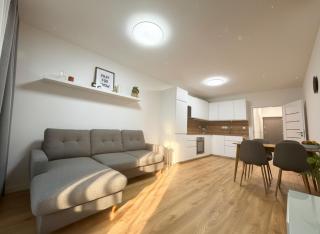 Brand New Family Apartment in Harrachov Center with Garage & Mountain View - 7