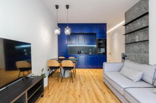 4-99 in RC Yaroslaviv Grad, Bulvarno-Kudriavska 17b,Petrovdom apartments - 9