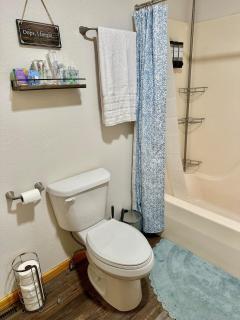 On Main Street 1 mile from Jacks Fork River - 5