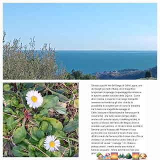 TraMonti e Mare, vista mare giardino, la casa che in ogni stagione si trasforma! - 9